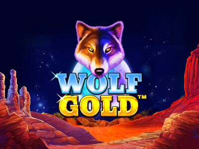 신비로운 Wolf Gold 당신의 꿈의 세계 신비로운 Wolf Gold 당신의 꿈의 세계