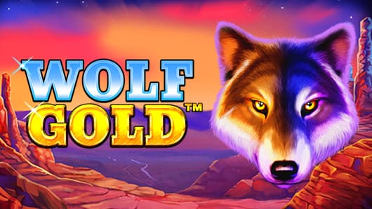 신비로운 Wolf Gold 당신의 꿈의 세계 신비로운 Wolf Gold 당신의 꿈의 세계